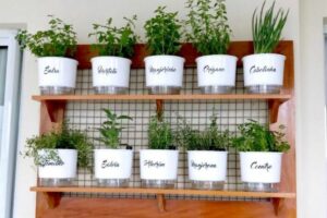 Como Fazer uma Horta em Apartamento